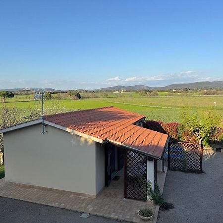 Agriturismo I Debbi Bibbona Dış mekan fotoğraf