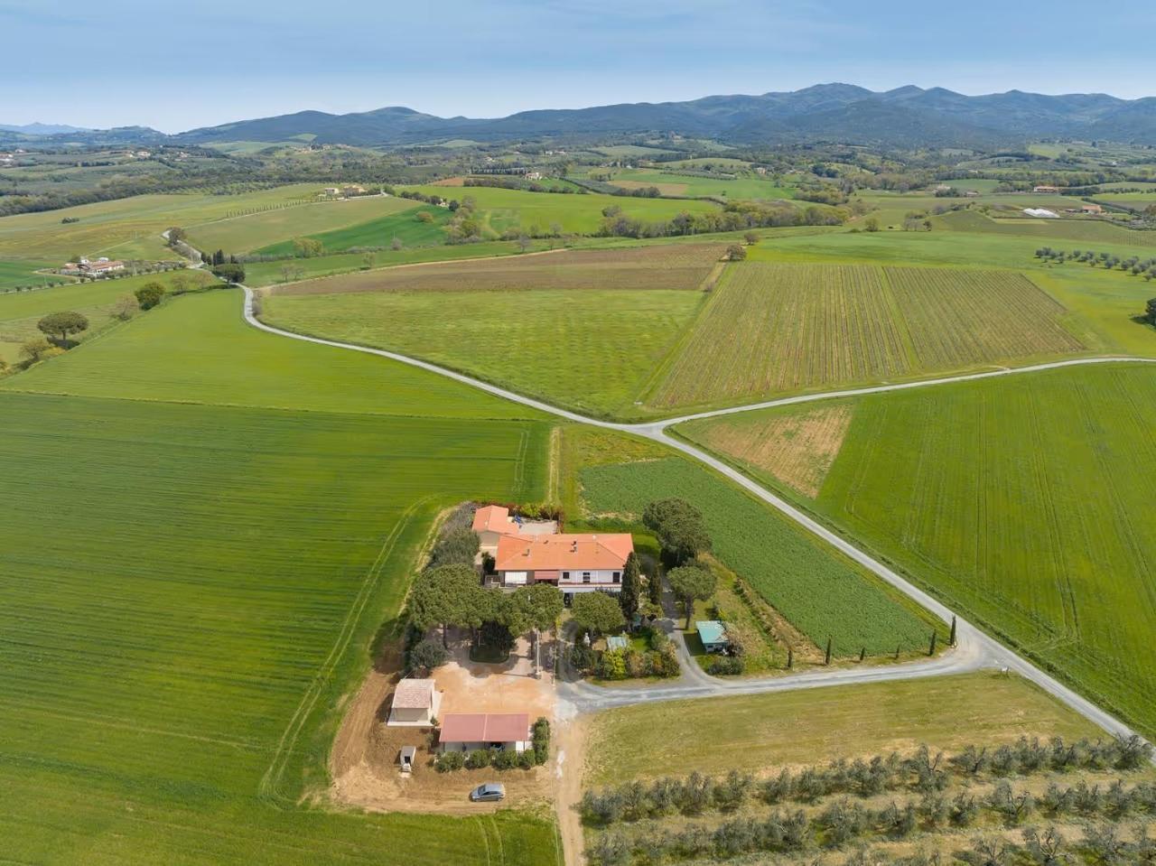 Agriturismo I Debbi Bibbona Dış mekan fotoğraf