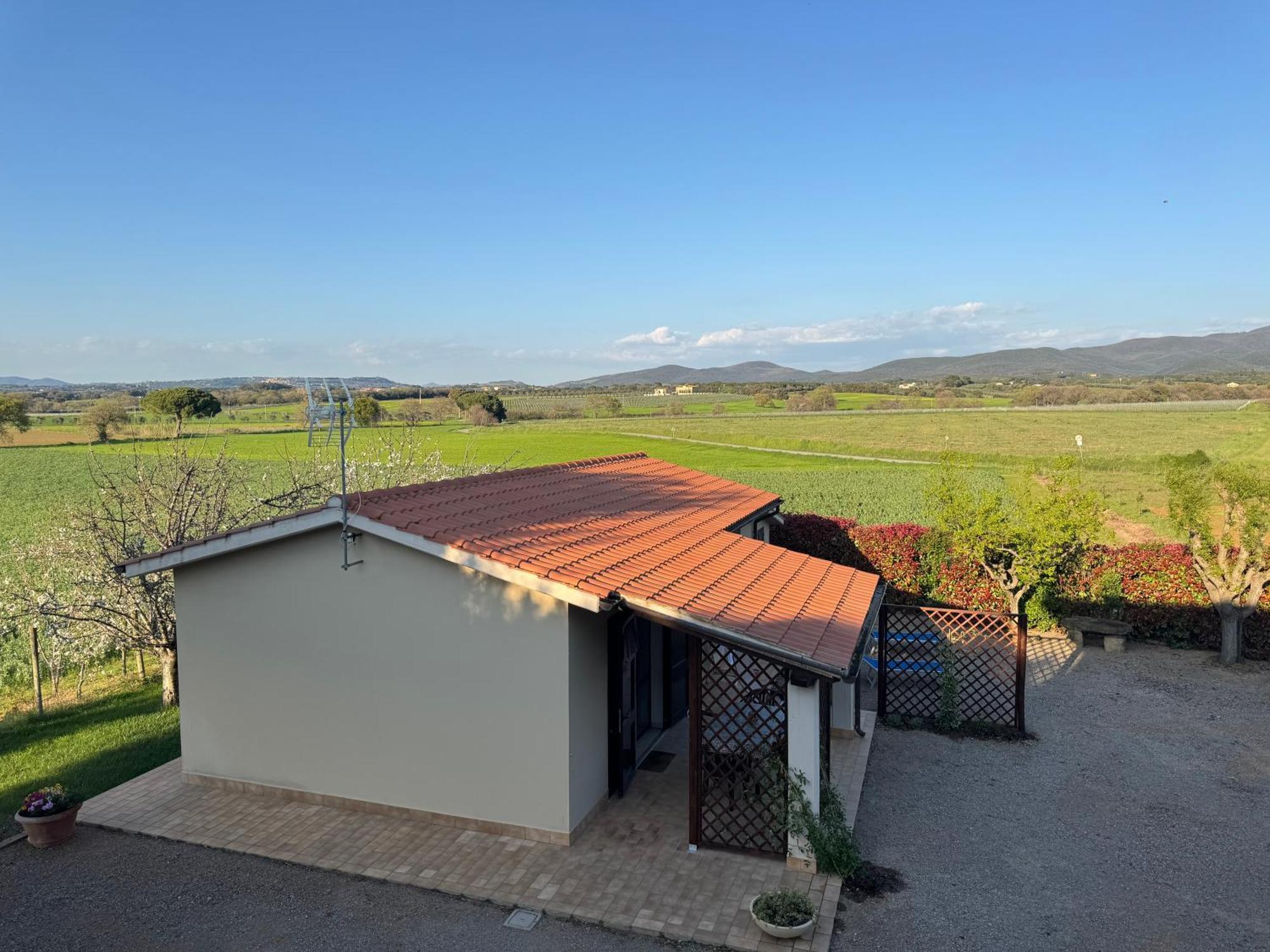 Agriturismo I Debbi Bibbona Dış mekan fotoğraf